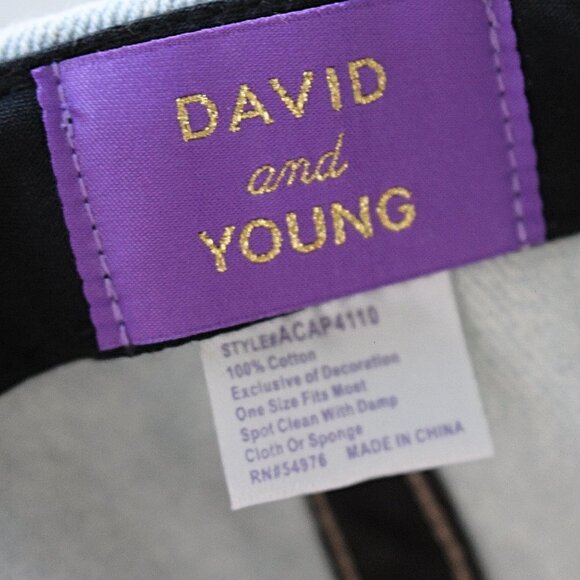 New - David and Young Embroidered Raiinbow Dad Cap - Picture 3 of 6